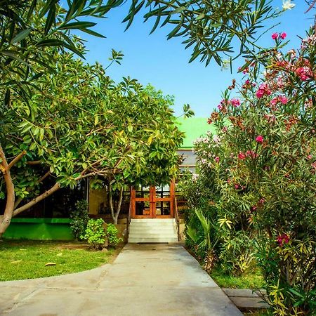 Hotel Del Valle Azapa Arica Dış mekan fotoğraf