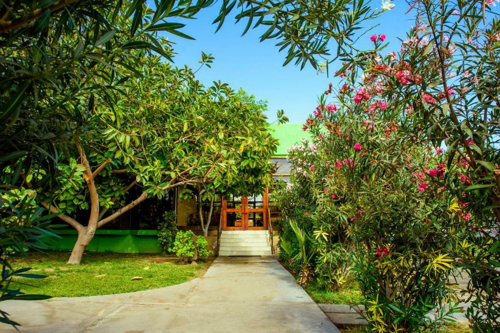 Hotel Del Valle Azapa Arica Dış mekan fotoğraf